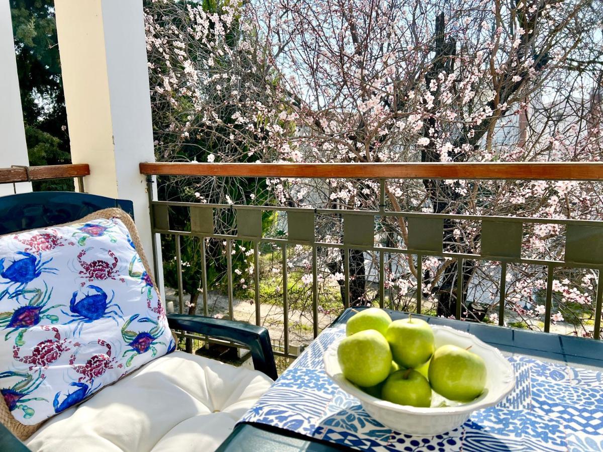 Sea Side Malibu Villa Nikiti  Bagian luar foto